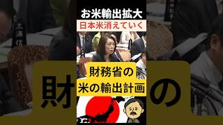 【財務省の悪魔の計画】米の輸出拡大#shorts #政治 #農業