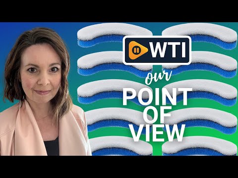 PetStandard Replacement Water Filter for NPET Water Fountain - WTI product video review