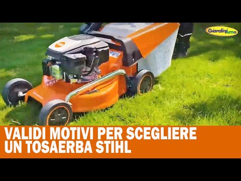 Miniatura Video