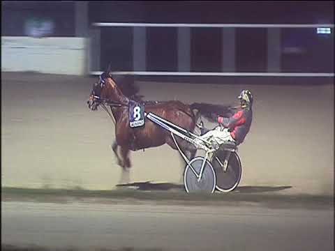 Trotto 13/12/2019 - 7ª corsa