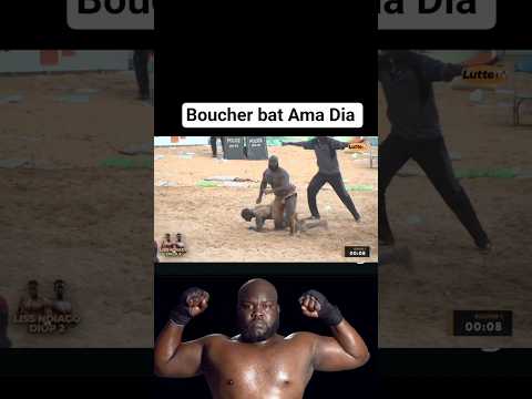 Boucher vs Ama Dia #lamb