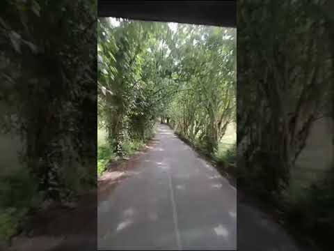 túnel verde Liborina occidente de Antioquia