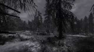 In Trees feat. Loscil (Skyrim)