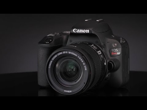 Introducing the Canon Rebel SL2 Digital Camera