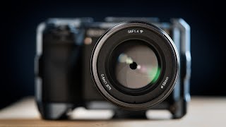 A Killer Budget Portrait Lens for APS-C - Yongnuo 56mm f/1.4