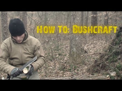 Making Birch Oil and Tar