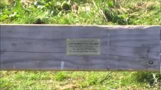 Patsy Cline (down by the riverside).wmv