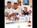 Cognac Feat Gatsheni Q Twins