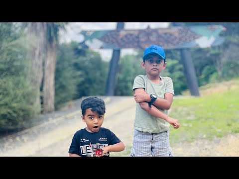 Hakarimata Walkway#On a hot day Walking Under the Trees#world of samanyu