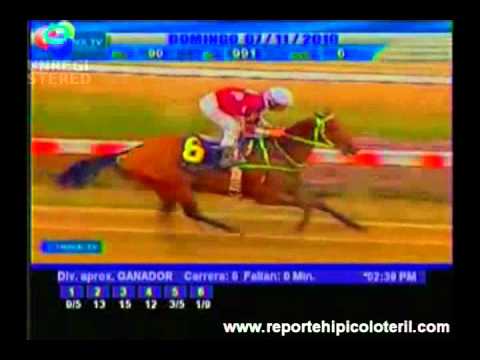 Resumen La Rinconada Domingo 07/11/2010