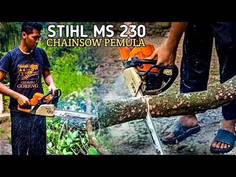 STIHL MS 230 CHANSAW MENEBANG POHON RAMBUTAB
