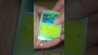 Can we pull Charizard from mini portfolio Part 1 - Episode 022 #pokemon #pokemoncards #pokemontcg