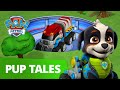 PAW Patrol - Pups Meet Rex the NEW Pup - Rescue Episode - PAW Patrol Official & Friends!