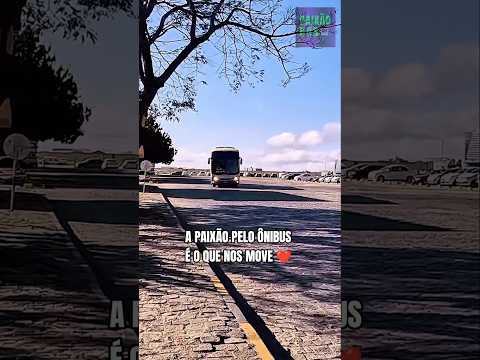 BARRA DA ESTIVA x VITÓRIA DA CONQUISTA: O COMIL CAMPIONE DA NOVO HORIZONTE CHEGANDO NO DESTINO! 🚍🛣️