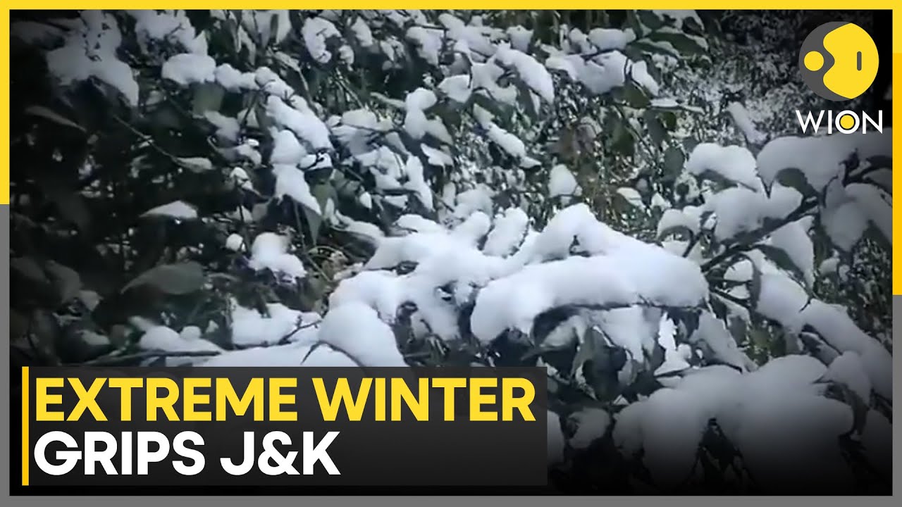 J&K Experiences Severe Cold Wave; Srinagar Mercury Drops to -32°C | WION
