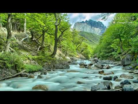 Devocional diário Charles Spurgeon, 28 de março, noite.