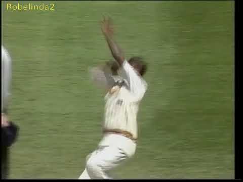 Hair vs Muralitharan FIRST TIME no balled for throwing 1995 Boxing Day MCG