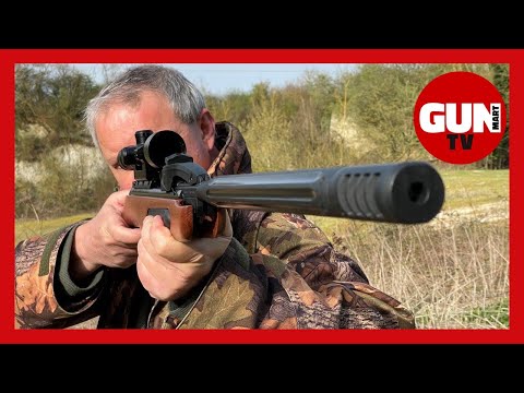 Gamo Maxxim Elite Swarm IGT review