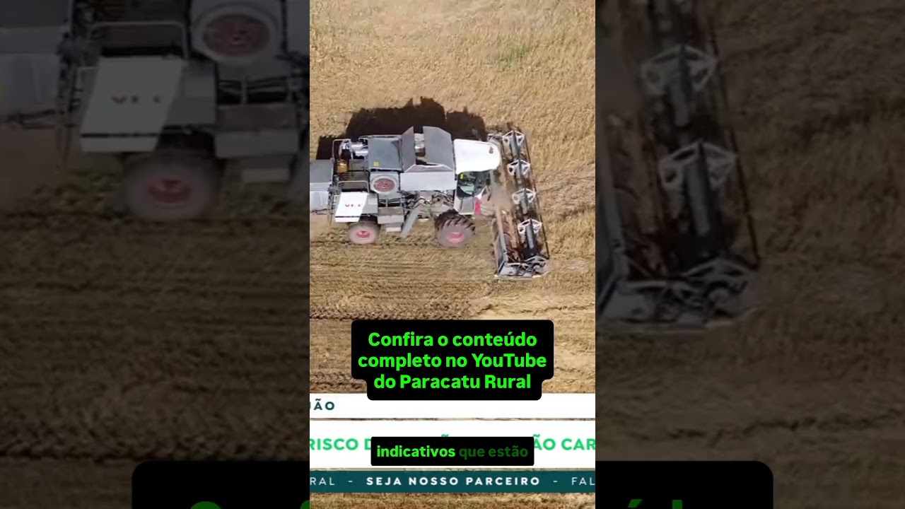 Feijão, Arroz e Trigo: Clima Preocupa e Cotações Podem Disparar.