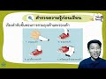 ขั้นตอน