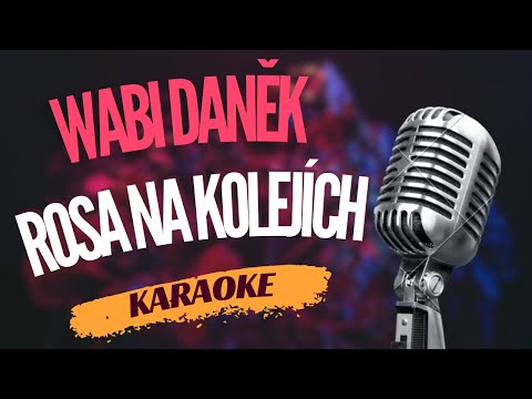 Karaoke - Wabi Daněk - 