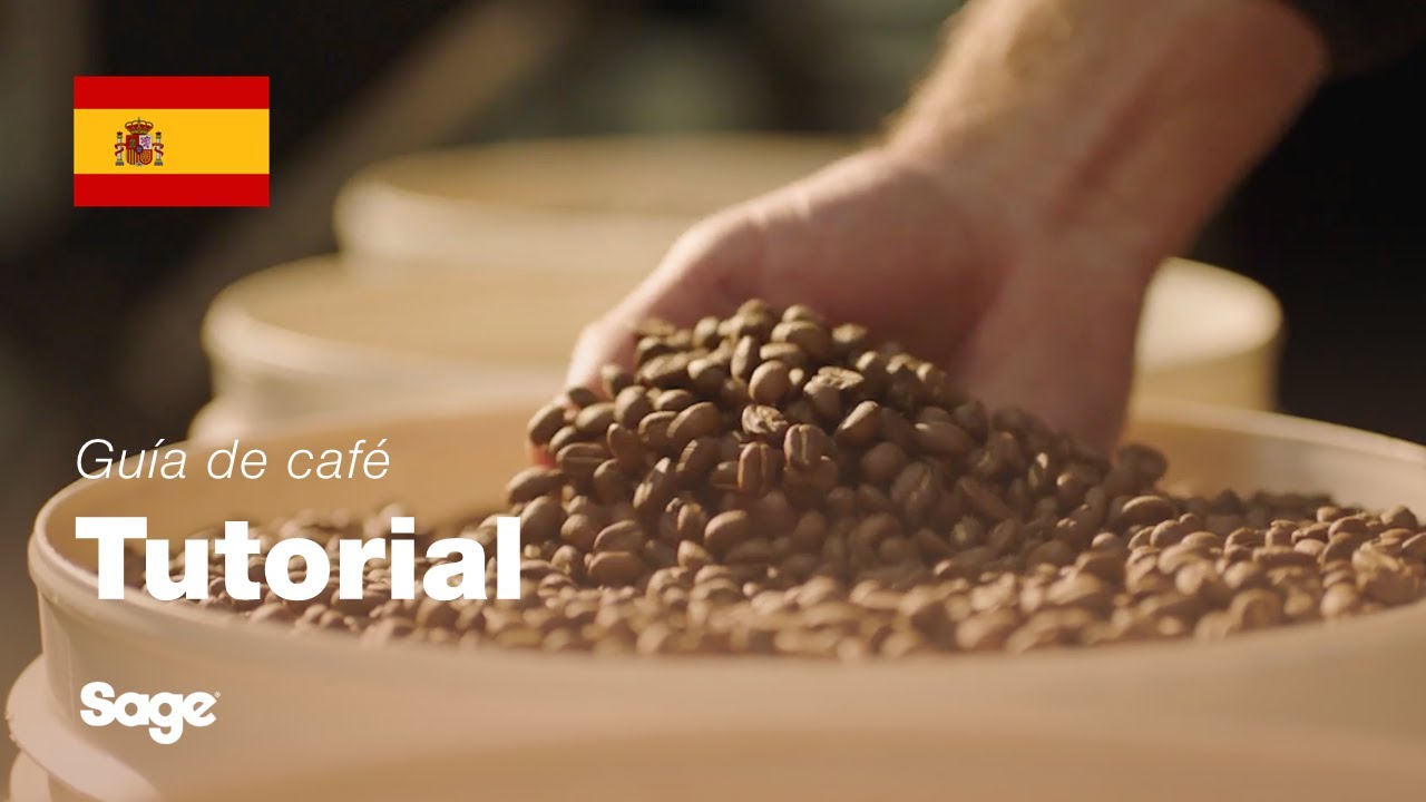 Tutorial de guía de café de Breville - Elegir los granos de café adecuados