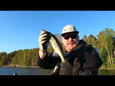 Kuhaa Lohjanjärveltä ⎮ Jigikalastus ⎮ Jigaus ⎮ Kalastusta lohjanjärvellä