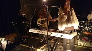 SHE’S Freedom copy