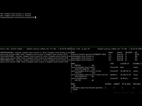 Demo Etcd Operator: A stateful set implementation