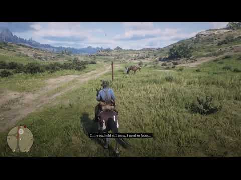 Red Dead Redemption 2 - Don't spook the horse!