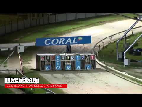 Lights Out - Coral Brighton Belle Trial Stakes