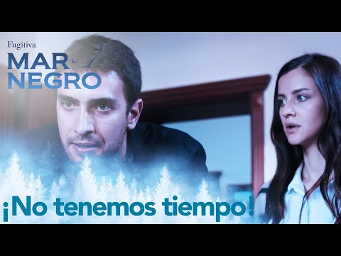 Tahir quiere casarse en seguida - Capítulo 48 | Fugitiva