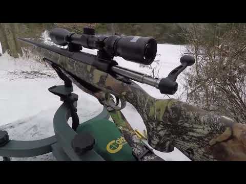 Savage axis 25-06. The most underrated cartridge today.