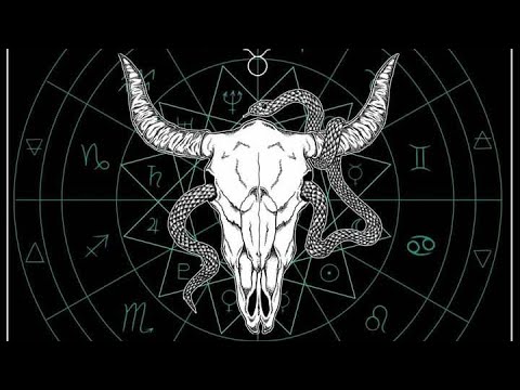 Kleavr x Tantrum - Synesthesia