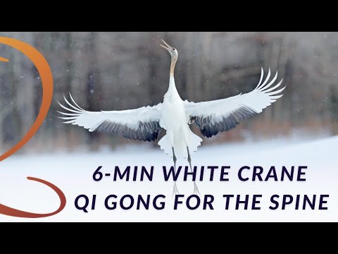 6-Min White Crane Qi Gong Workout to Cultivate Strong Lung Qi and Enliven Your Spine