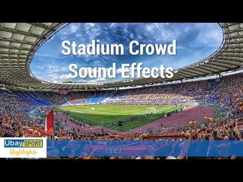 Stadium Crowd Sound Effects | 1 hour