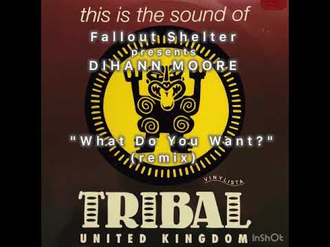 fallout shelter presents dihann moore " waht do you want ? " (remix) mixed by vinylista