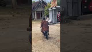 Download lagu Udah gede masi suka main motor trail mini 😂 #davidsunairi #wargads #anakdesa #minivlog mp3