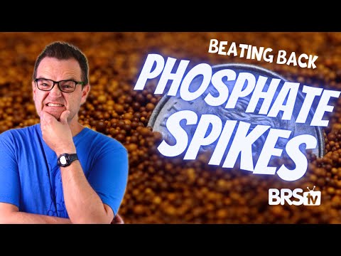 Manage Saltwater Aquarium Algae With Phosphate Control!