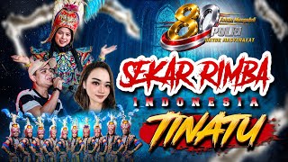 Download lagu TINATU cover sekar rimba Indonesia lagi ngetrend nihhhh🔥🔥  mp3
