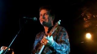 The Dream Syndicate - Forest For The Trees (12-5-15)