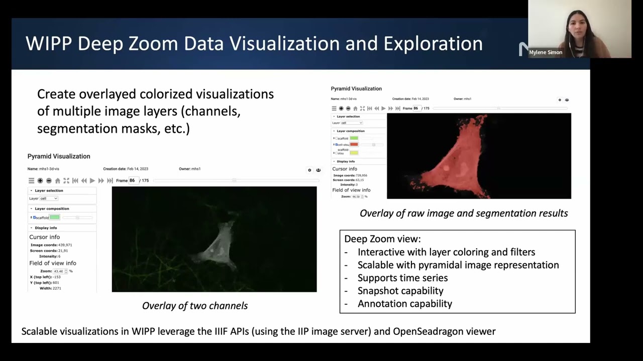 Scalable Interactive Visualizations and AI-based Image Processing in the WIPP Image Analytics