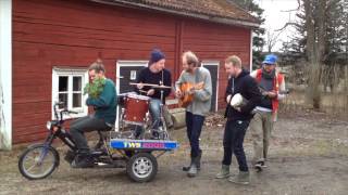 Den svenska björnstammen -- Som vanligt -- bara i Land