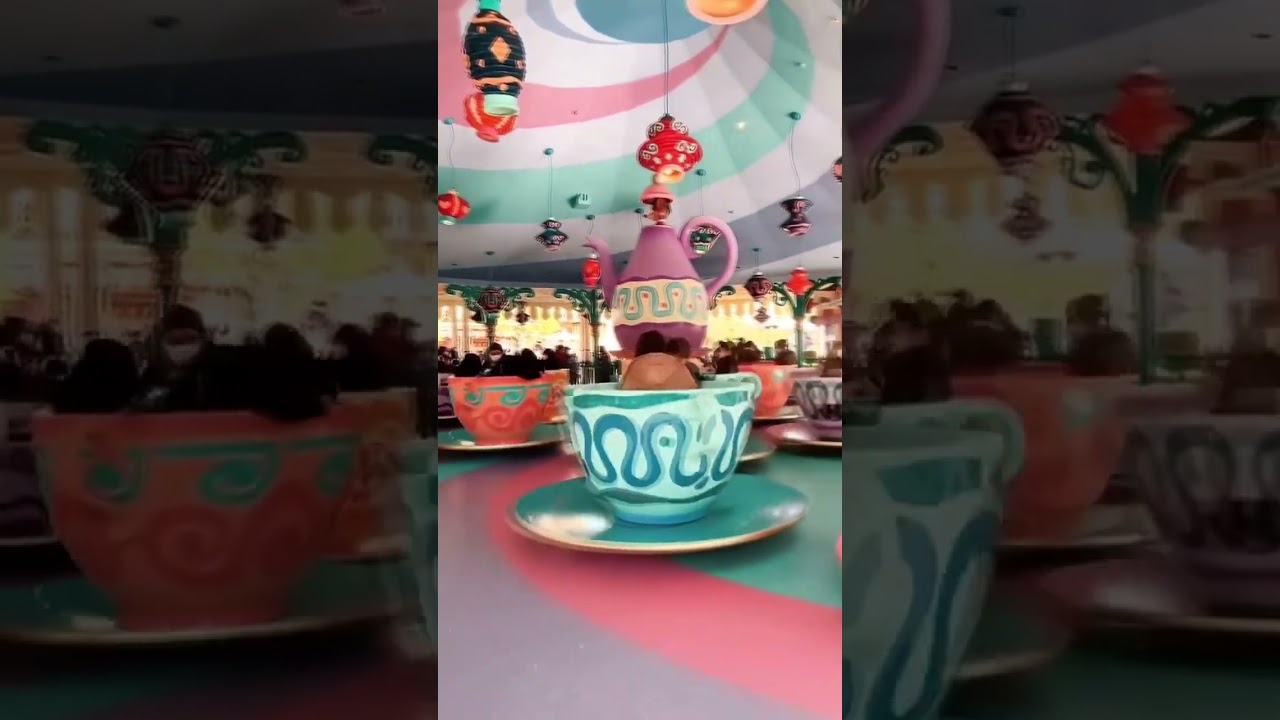 Minha primeira vez na Disney foi simplesmente mágica ✨🏰 #disneyland #disneyjapan #tokyo #japan