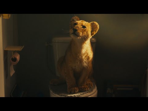 Kino Muza | "KING: MÓJ PRZYJACIEL LEW" - zwiastun PL