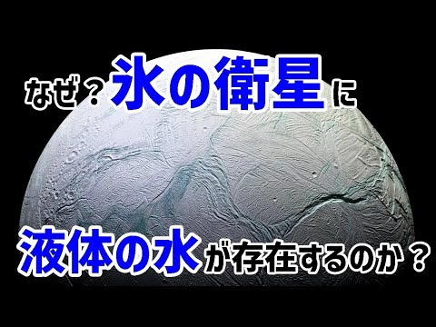 ツラノースについて詳しく解説