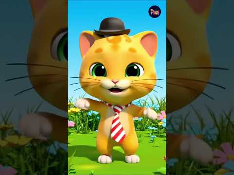Meow Meow Kitty Meow 🐱🎶 | Cute Cat & Kitty Dancing in Grass Field #shorts