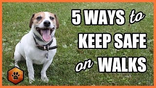 5 Ways to Keep Safe on Walks With Situational Awareness - Walking a Dog