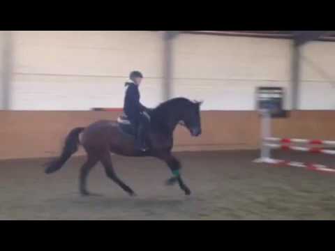 Alessia Sue von Impetus