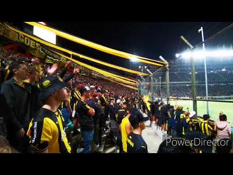 "Hinchada De Peñarol Vs. Belgrano / Amistoso Internacional 2020 / Campeon Del Siglo" Barra: Barra Amsterdam &bull; Club: Peñarol